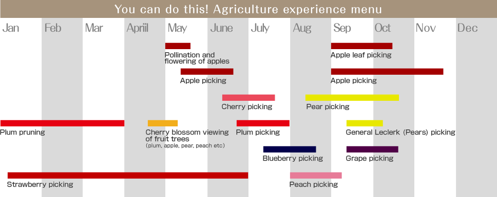 こんなことができる！　農業体験メニュー