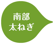 南部太ねぎ