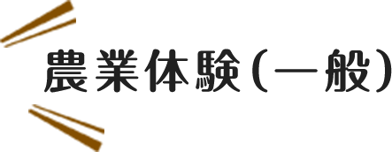 農業体験(一般)