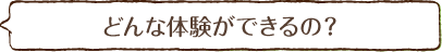 どんな体験ができるの?