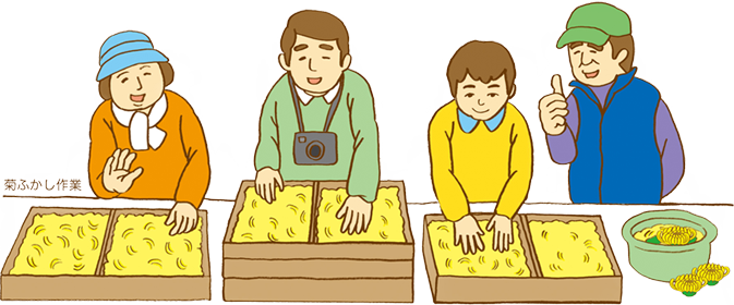 菊ふかし作業