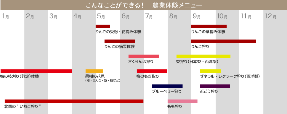 こんなことができる! 農業体験メニュー