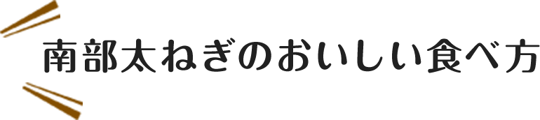 南部太ねぎのおいしい食べ方